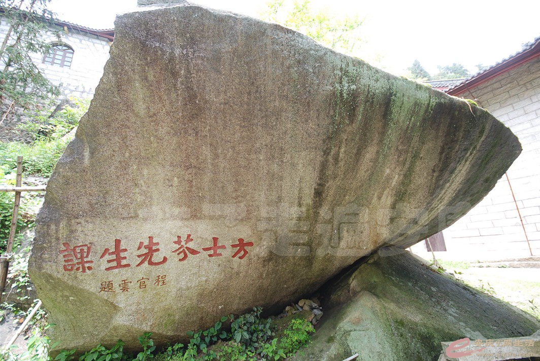 DSC_2008.jpg