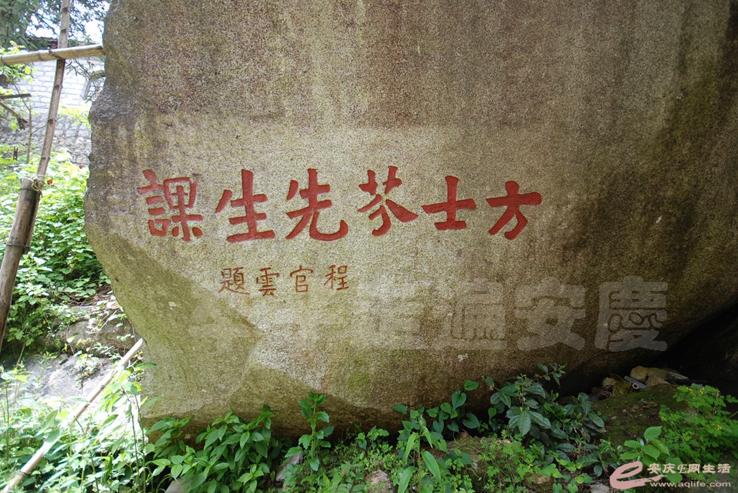 DSC_2007.jpg