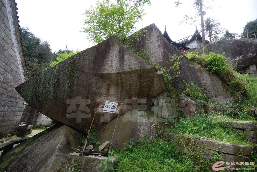 DSC_2012.jpg