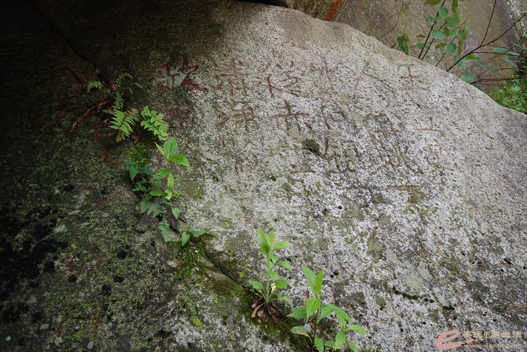 DSC_2010.jpg