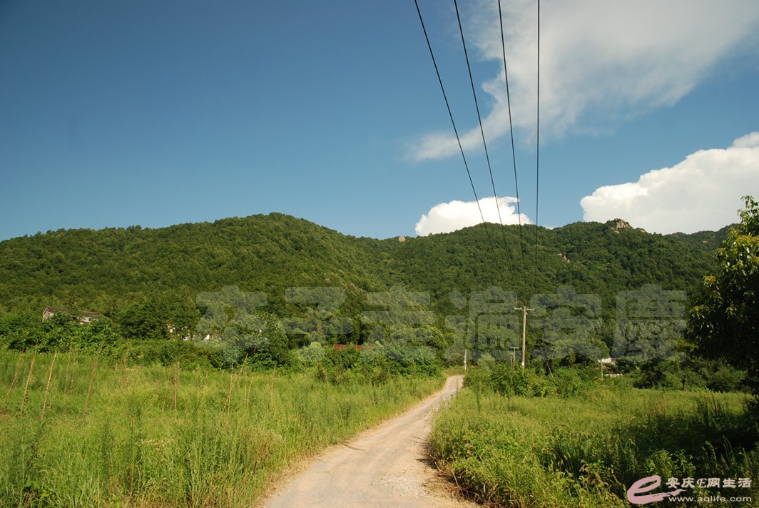 DSC_4715.jpg