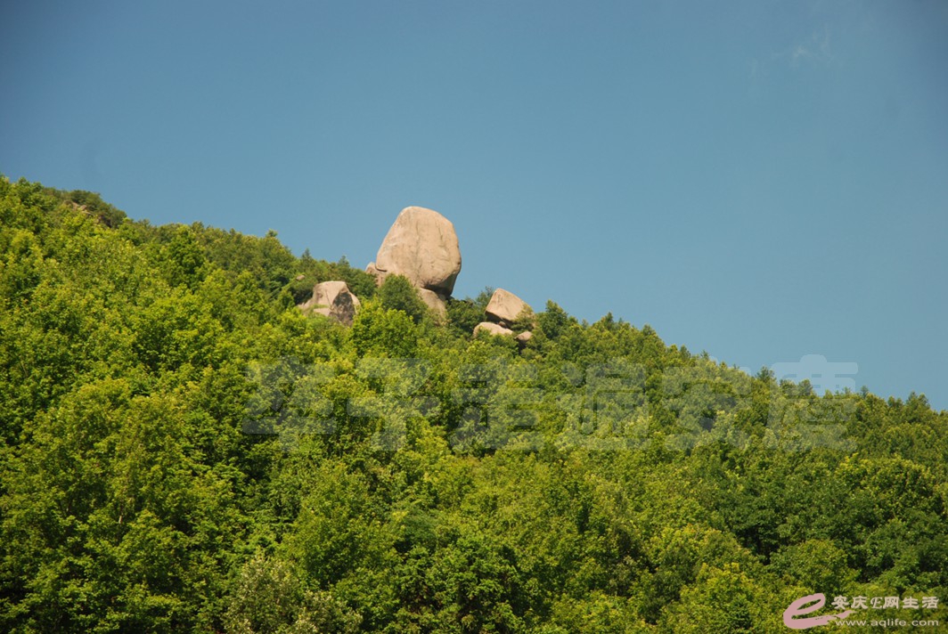 DSC_4738.jpg