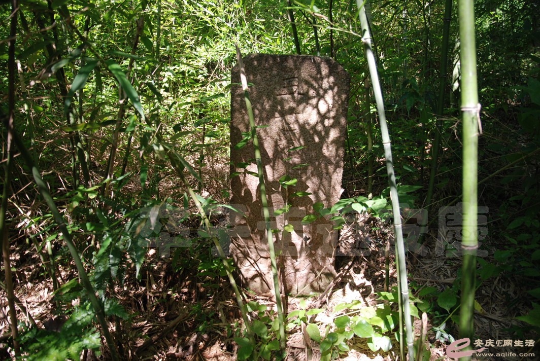DSC_4805.jpg