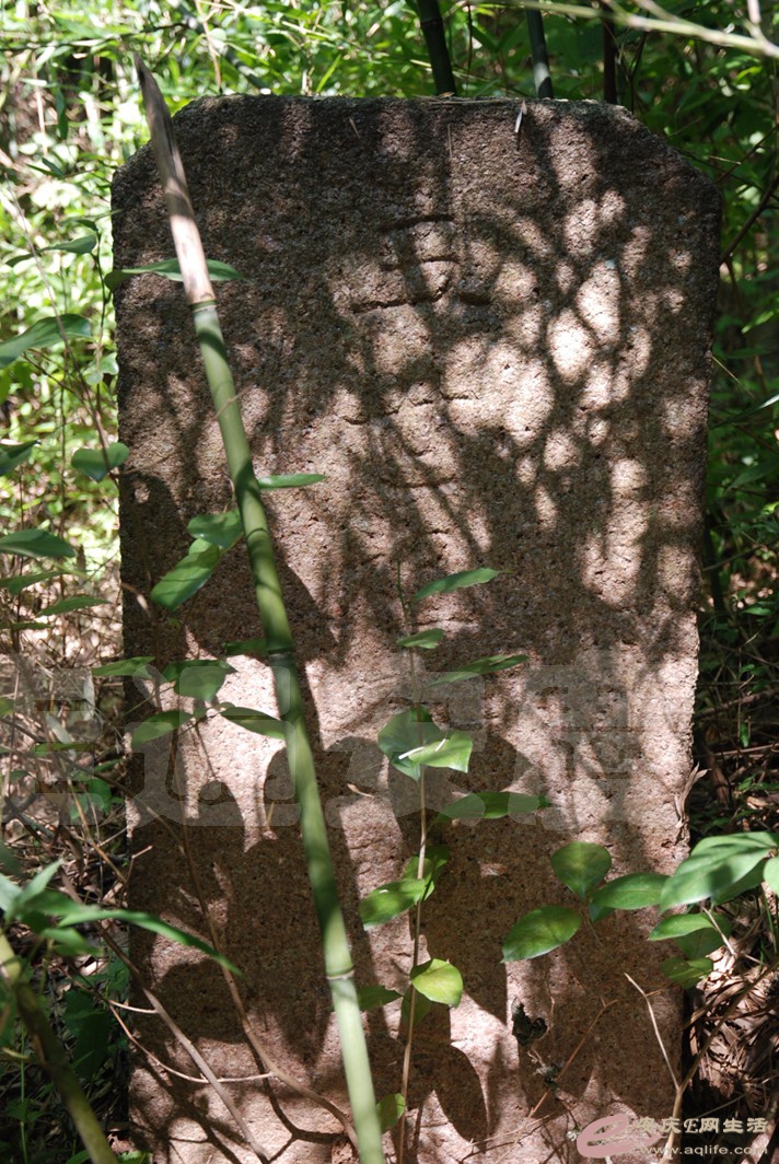 DSC_4807.jpg
