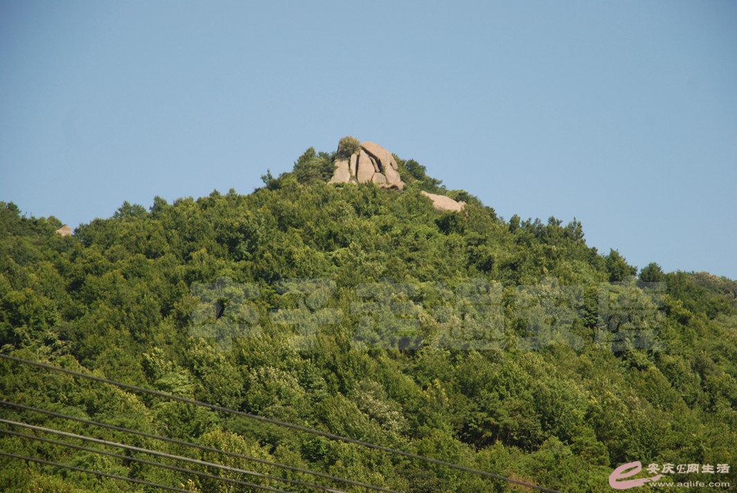 DSC_4789.jpg
