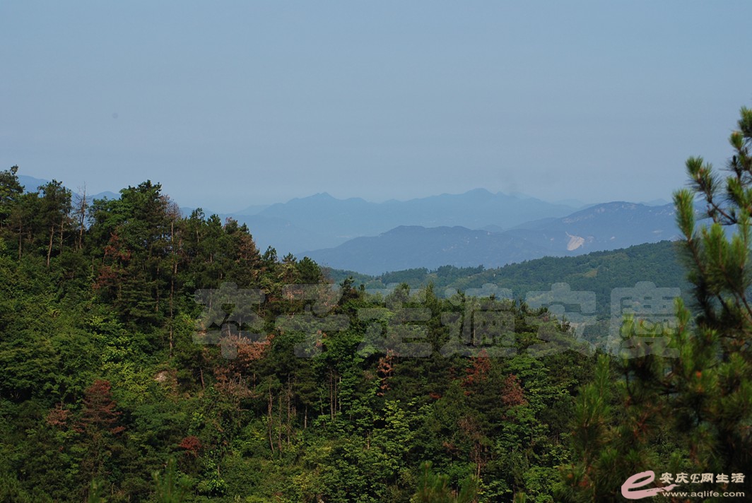 DSC_7807.jpg