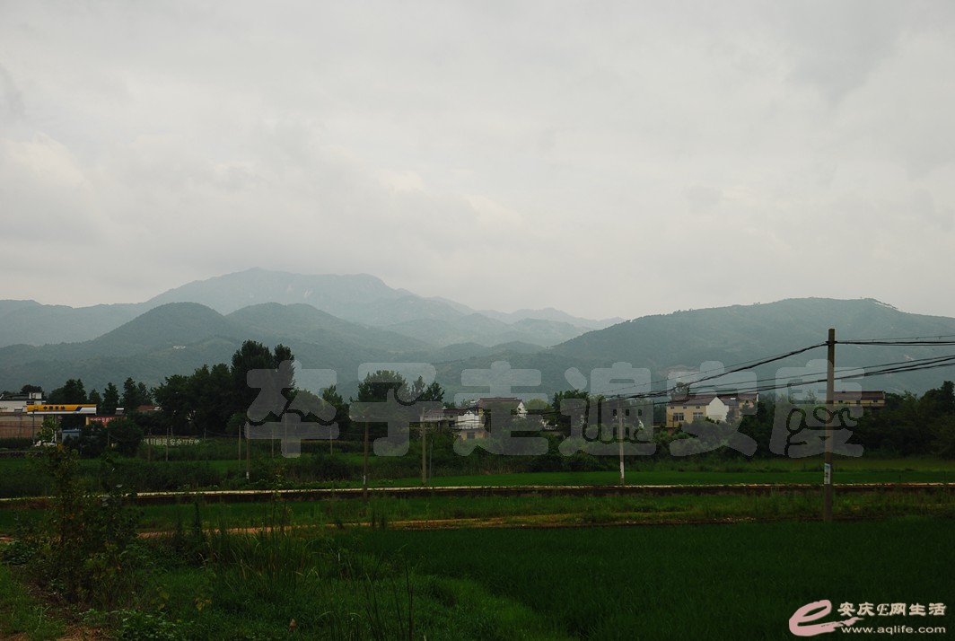 DSC_9885.jpg