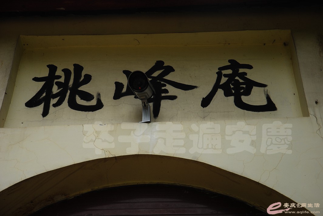 DSC_9906.jpg
