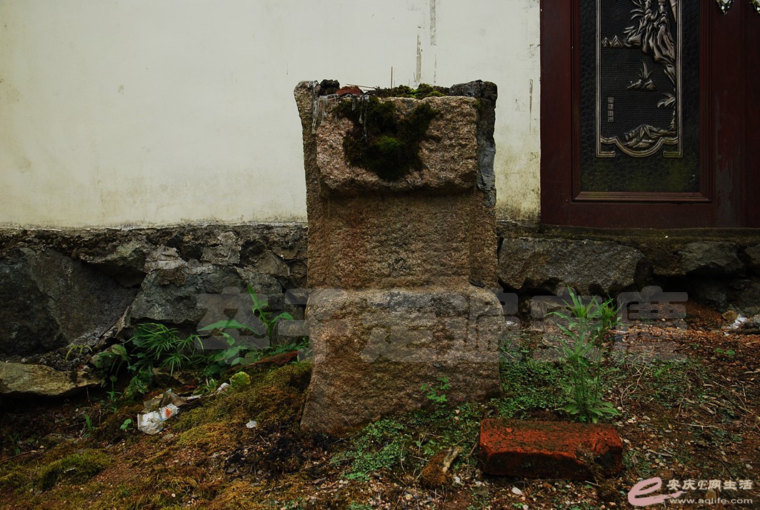 DSC_9907.jpg