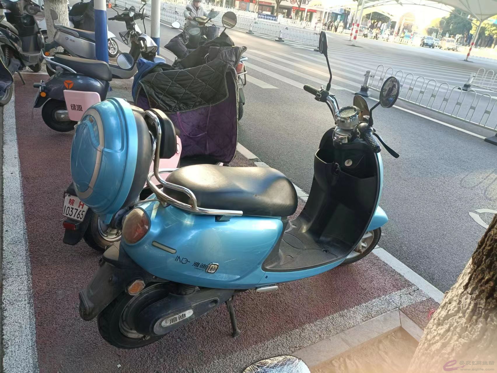 1780069515.jpg