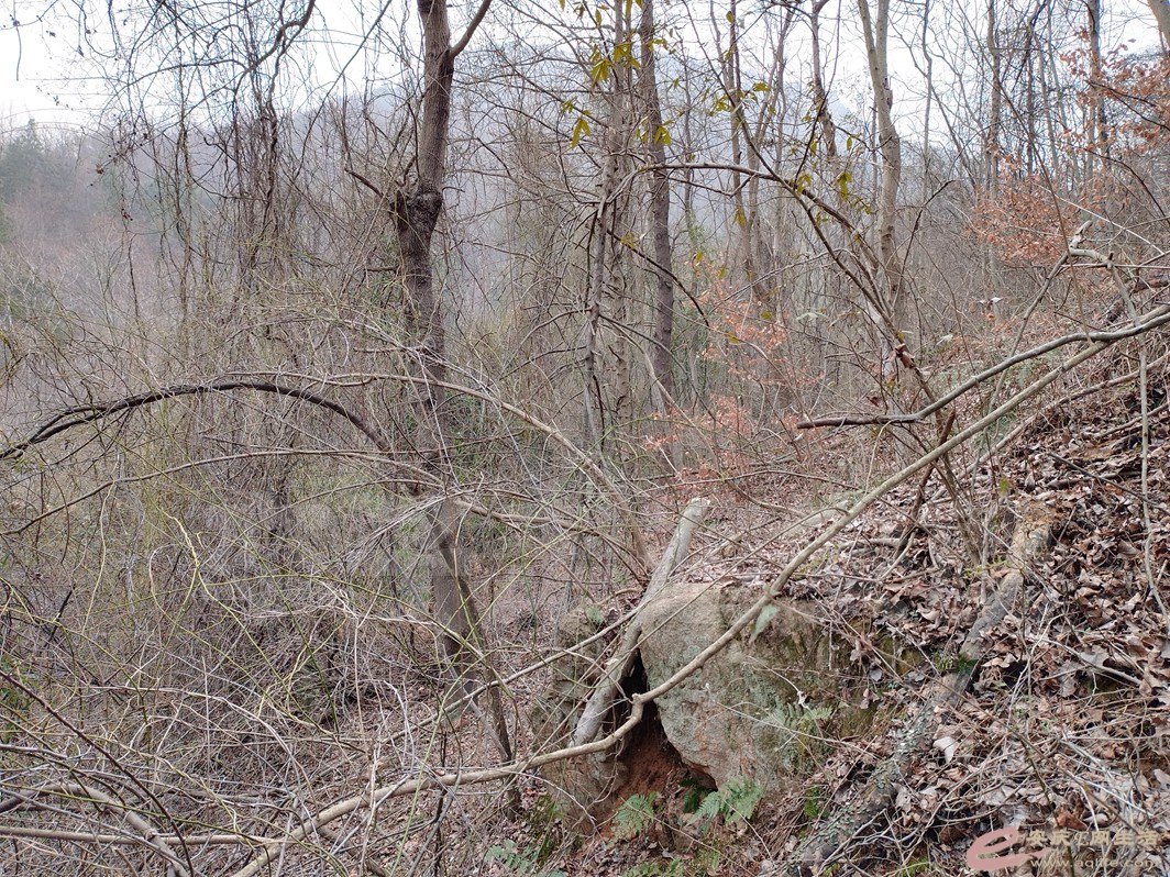 IMG_20230219_095250.jpg