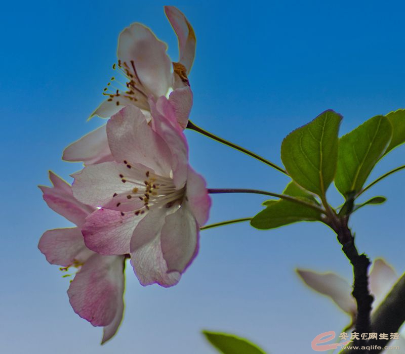 DSC_4190_.jpg