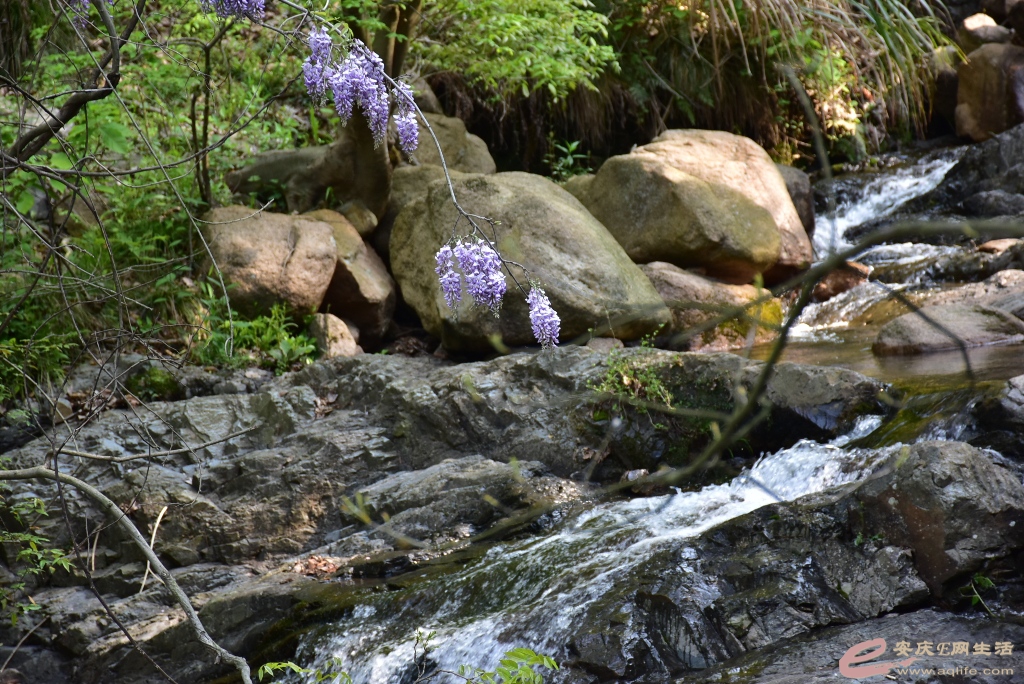 DSC_0192.JPG