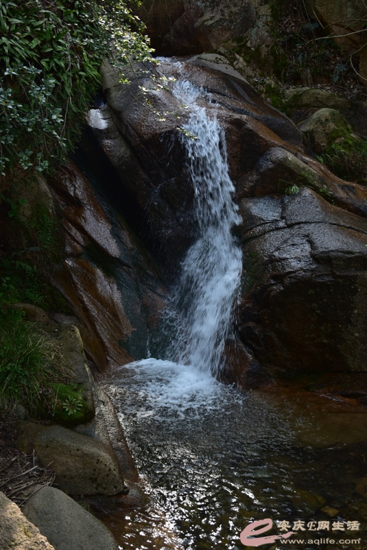 DSC_0207.JPG