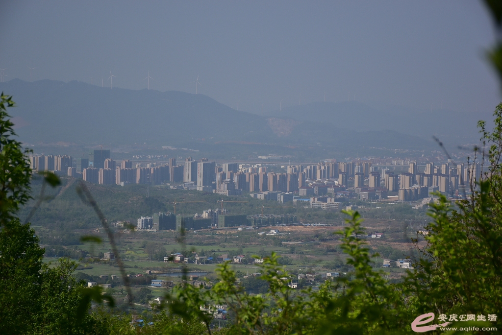 DSC_0222.JPG