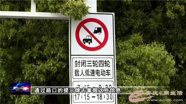 06.jpg