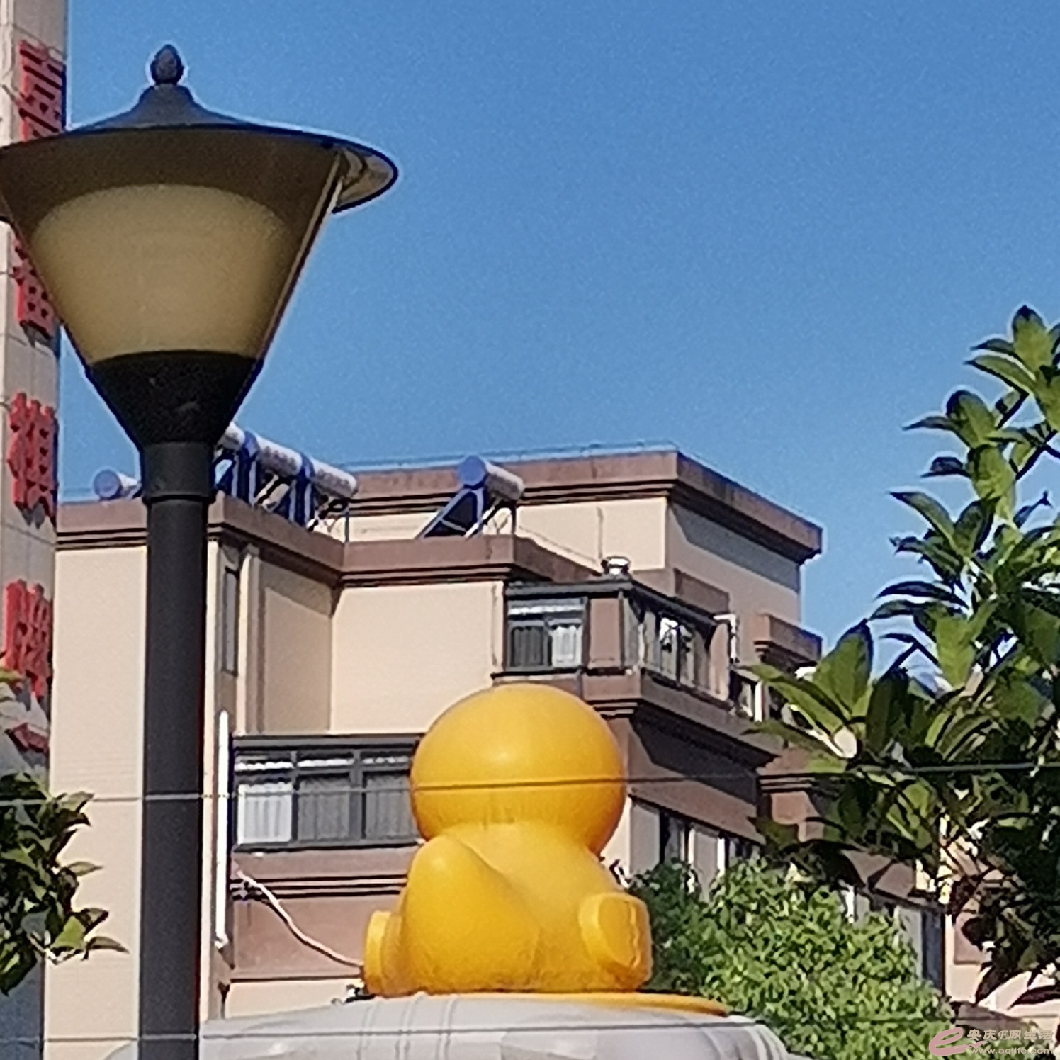 1685231948333367.jpeg