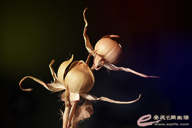 ڳ֮.JPG