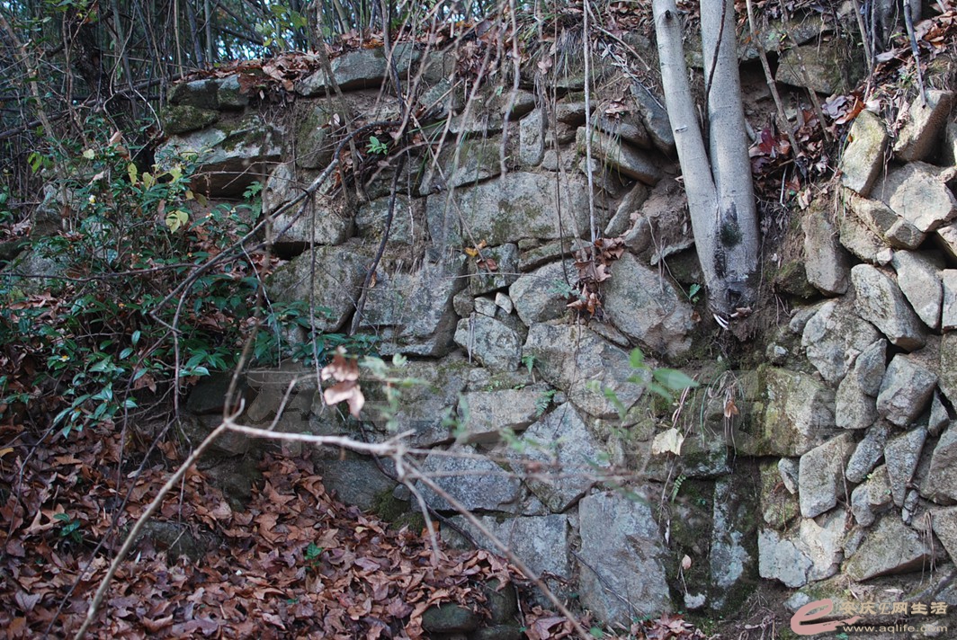 DSC_0533.jpg
