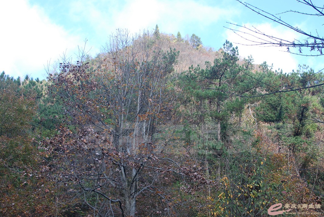 DSC_0537.jpg