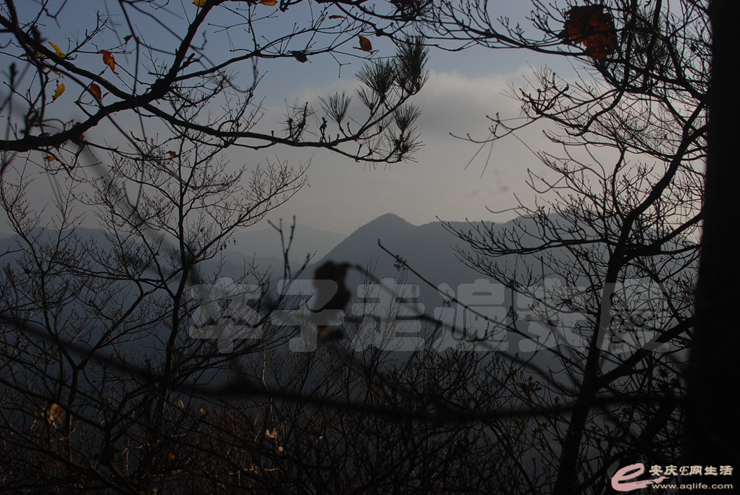 DSC_0558.jpg
