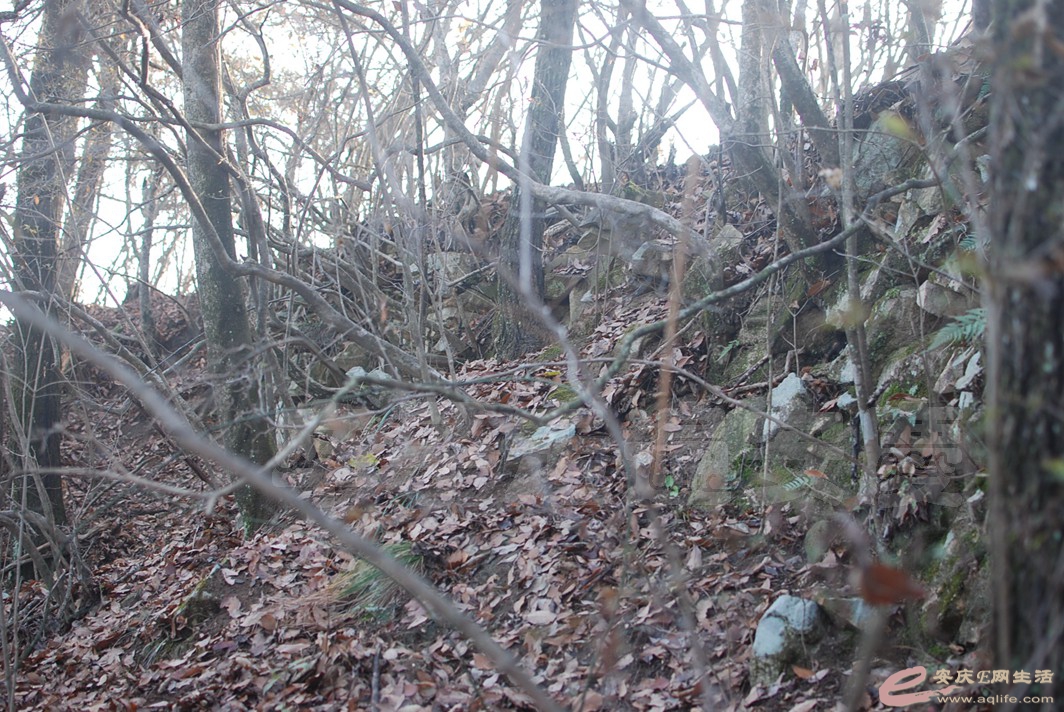 DSC_0567.jpg