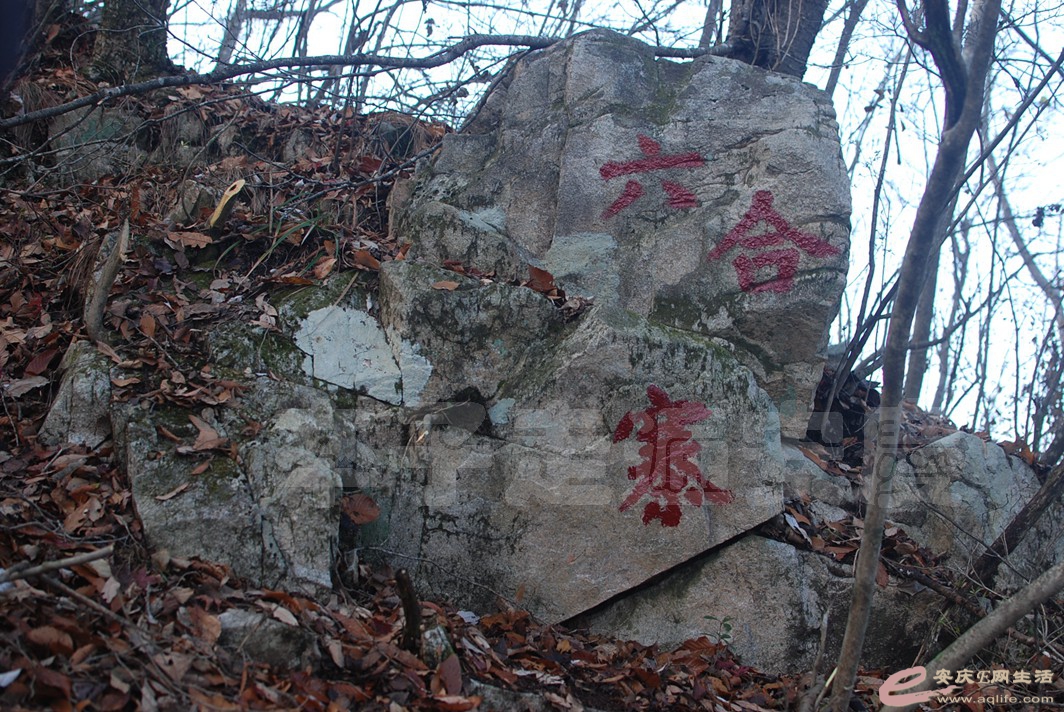 DSC_0575.jpg