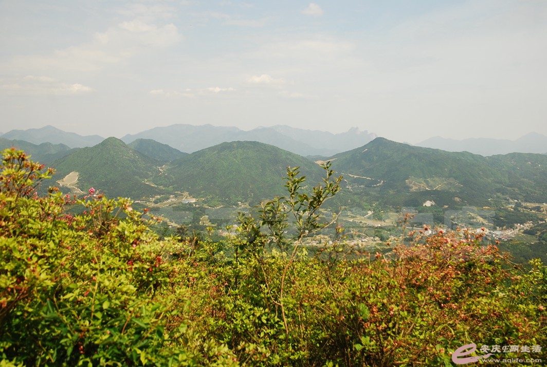 DSC_4727.jpg