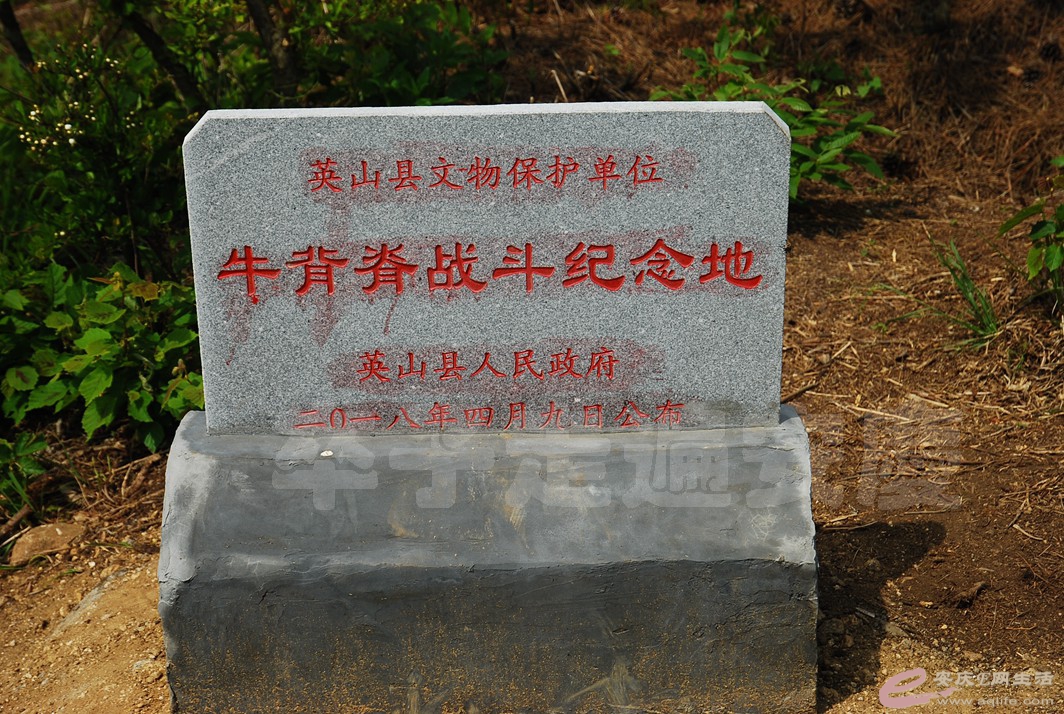 DSC_4758.jpg