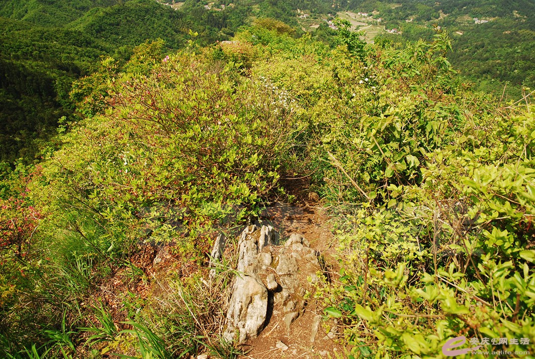 DSC_4791.jpg