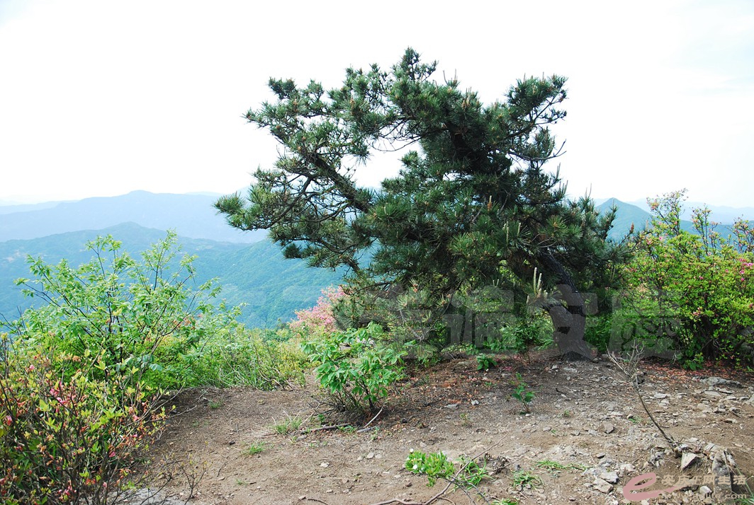 DSC_4888.jpg