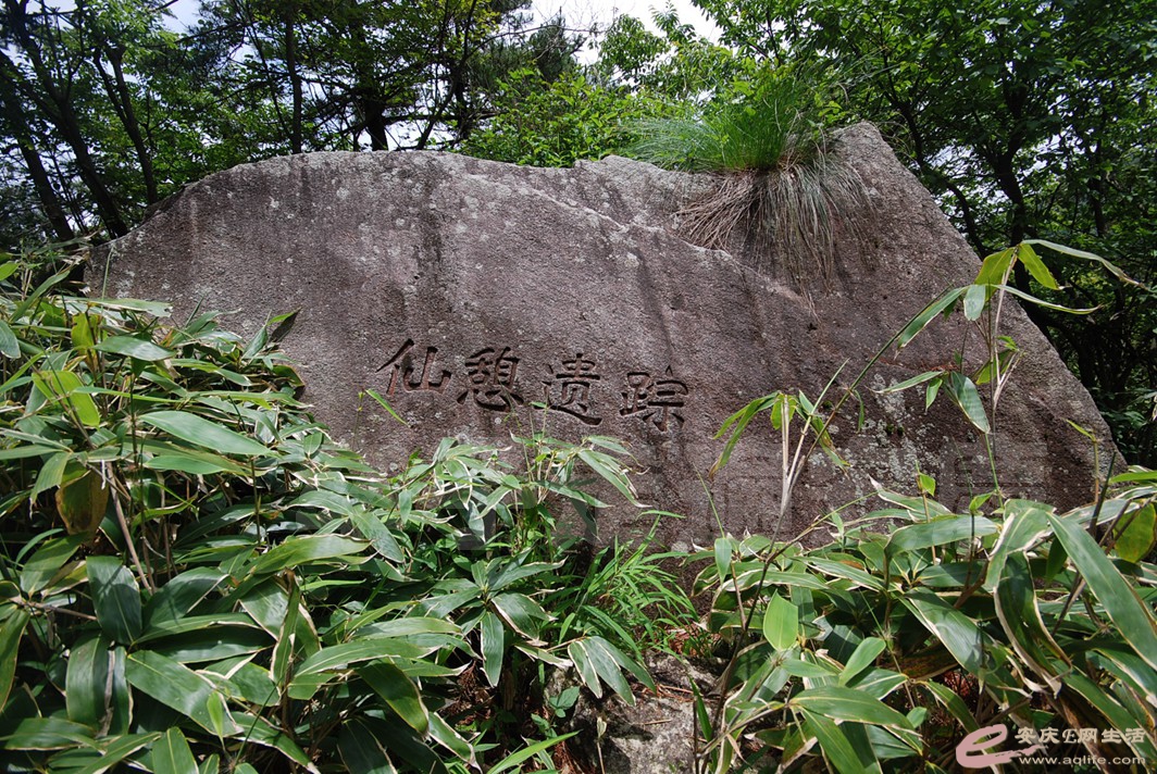 DSC_1137.jpg