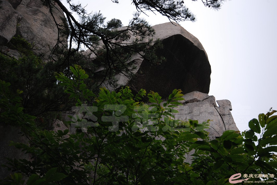 DSC_1158.jpg