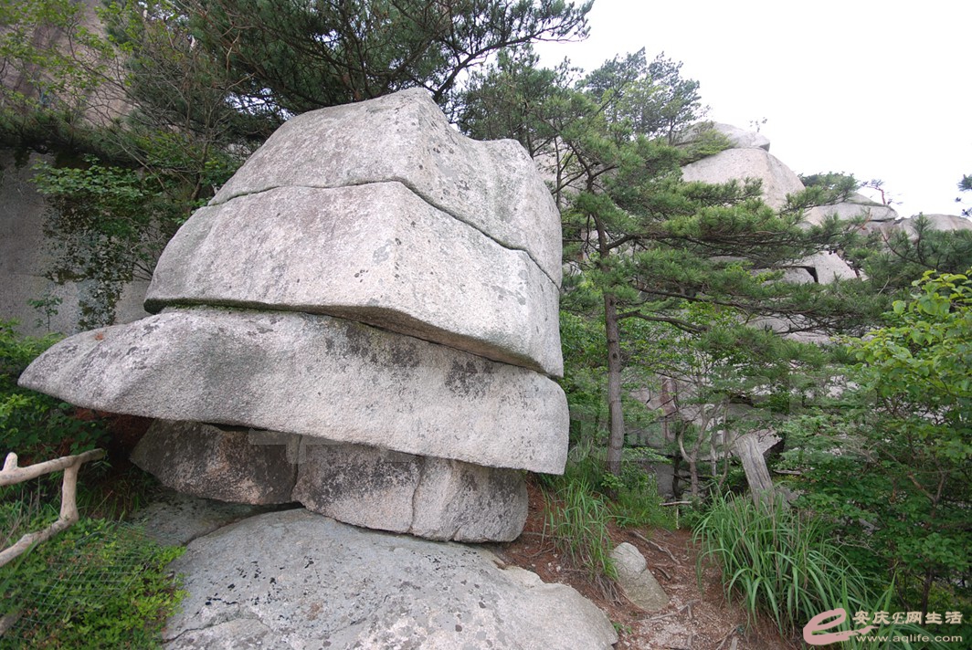 DSC_1192.jpg