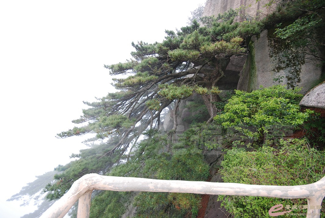 DSC_1195.jpg