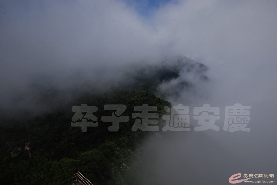 DSC_1221.jpg