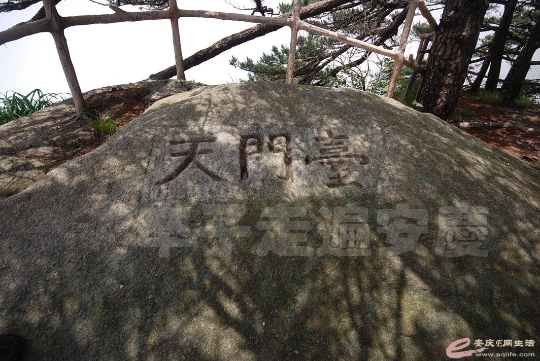DSC_1229.jpg