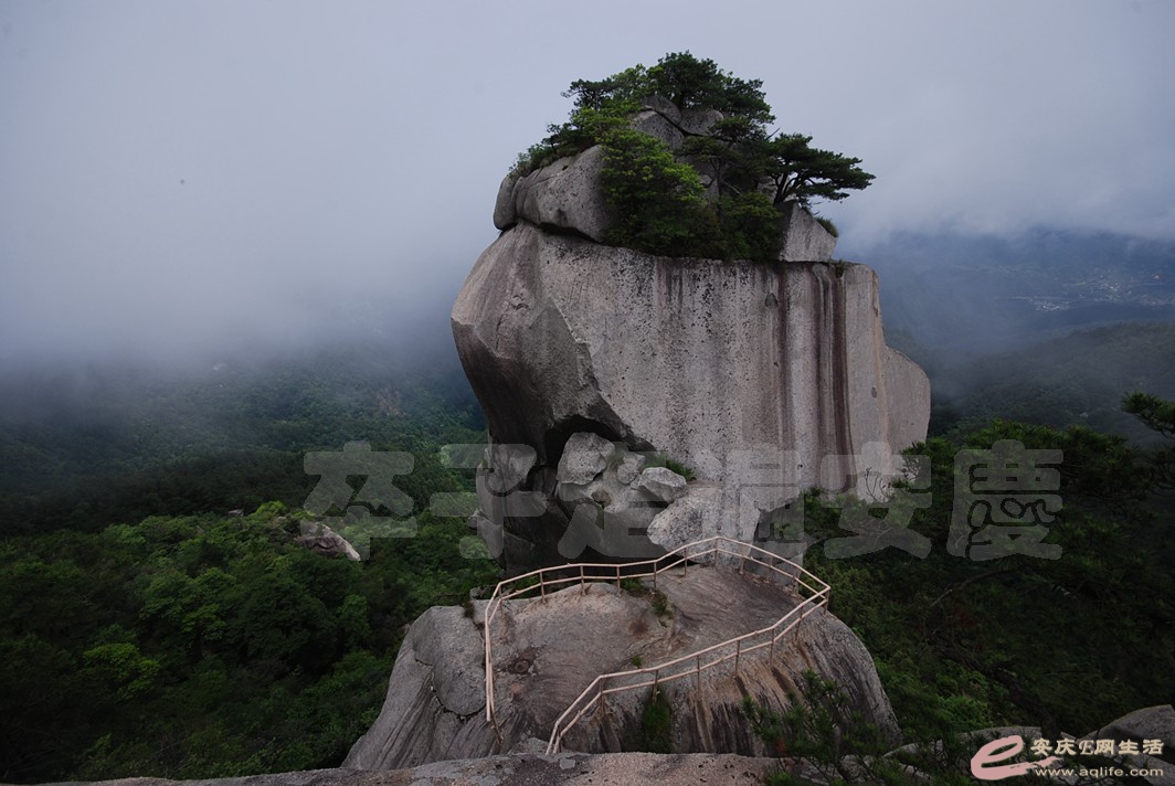 DSC_1256.jpg