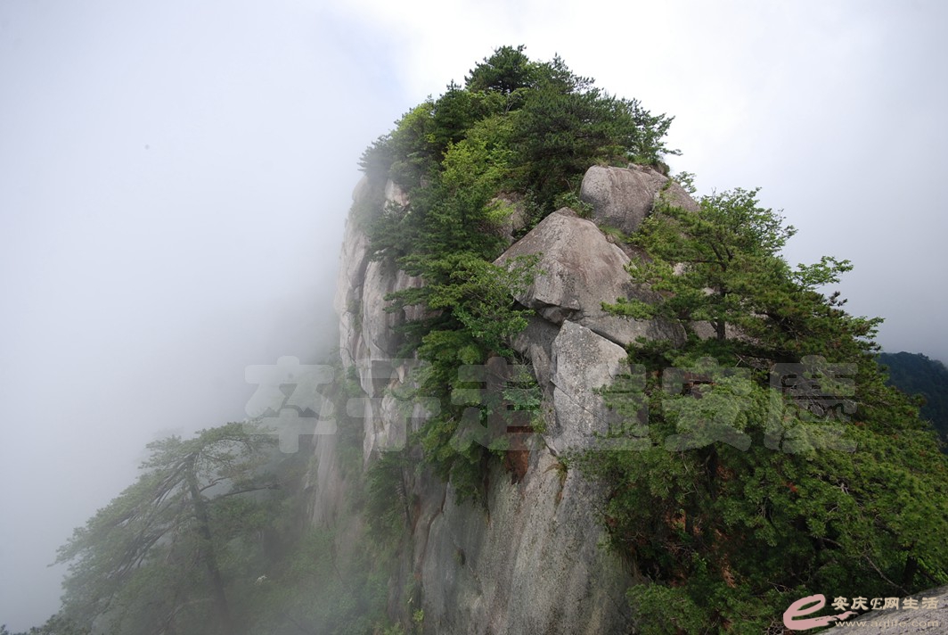 DSC_1273.jpg