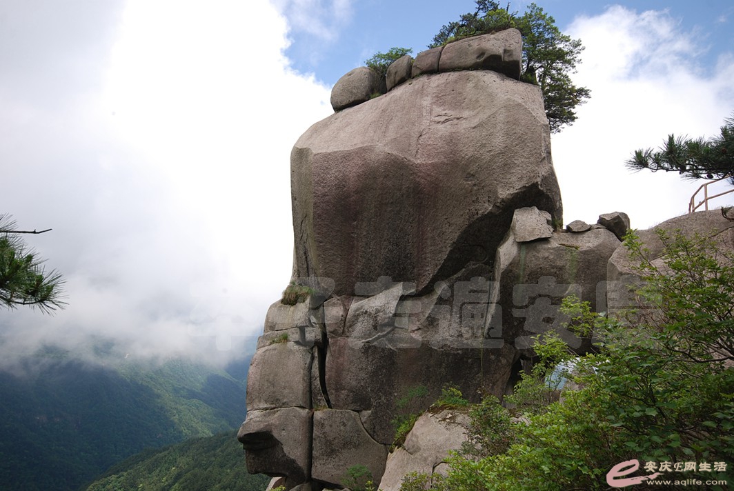 DSC_1311.jpg