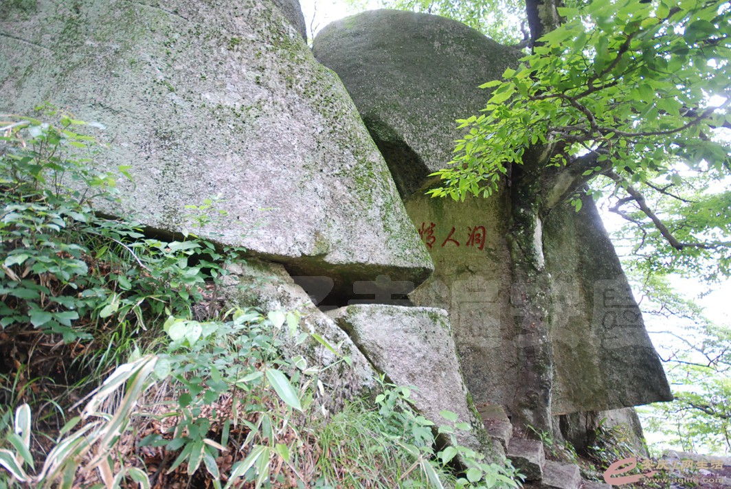 DSC_1322.jpg
