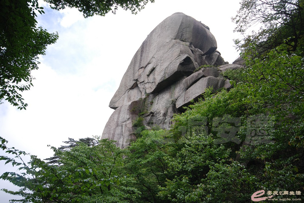 DSC_1327.jpg