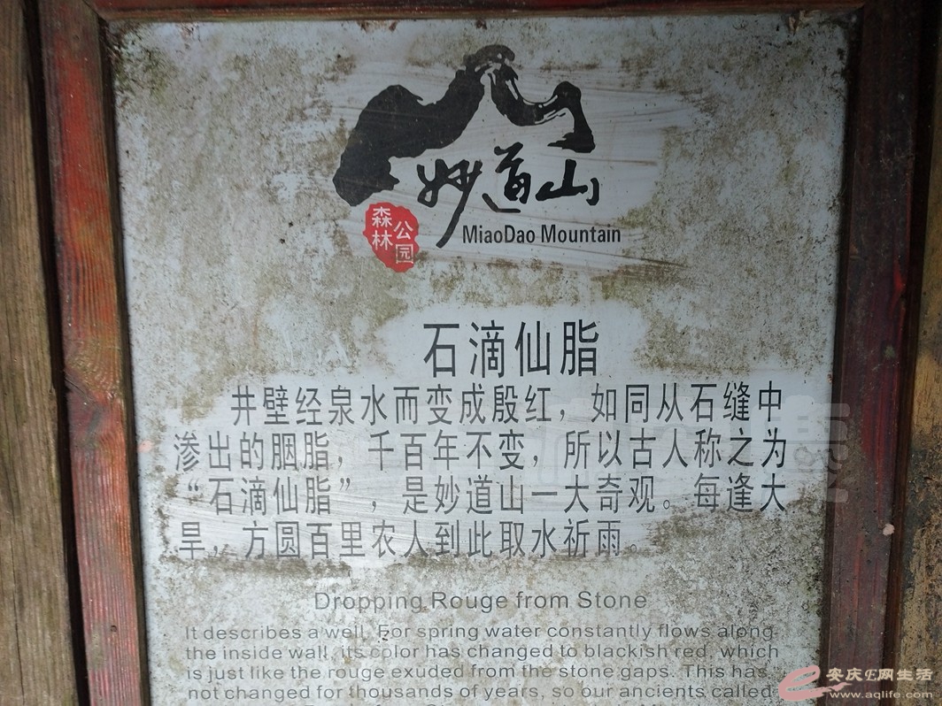 IMG_20230616_132923.jpg