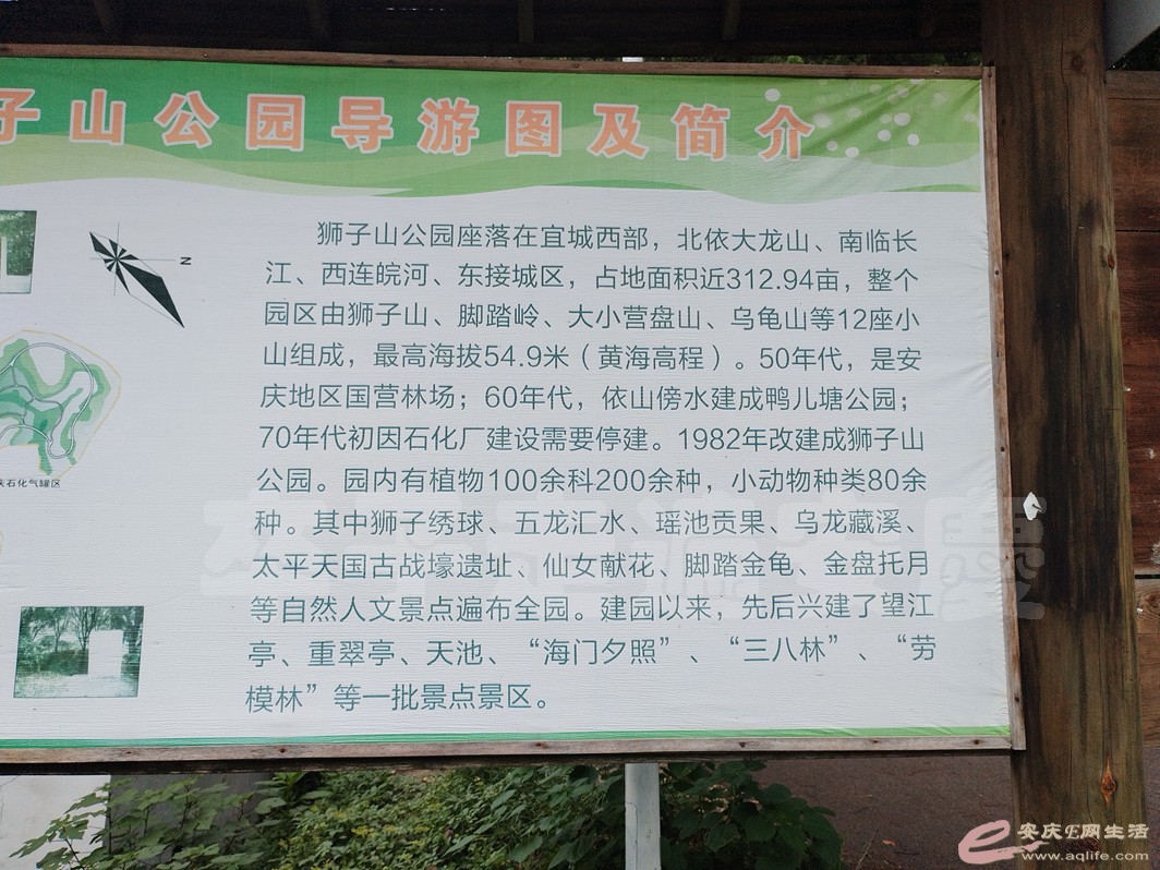 IMG_20230611_164056.jpg