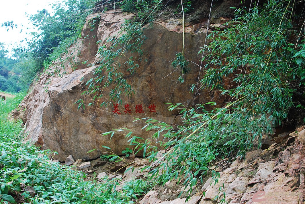 DSC_7375.jpg