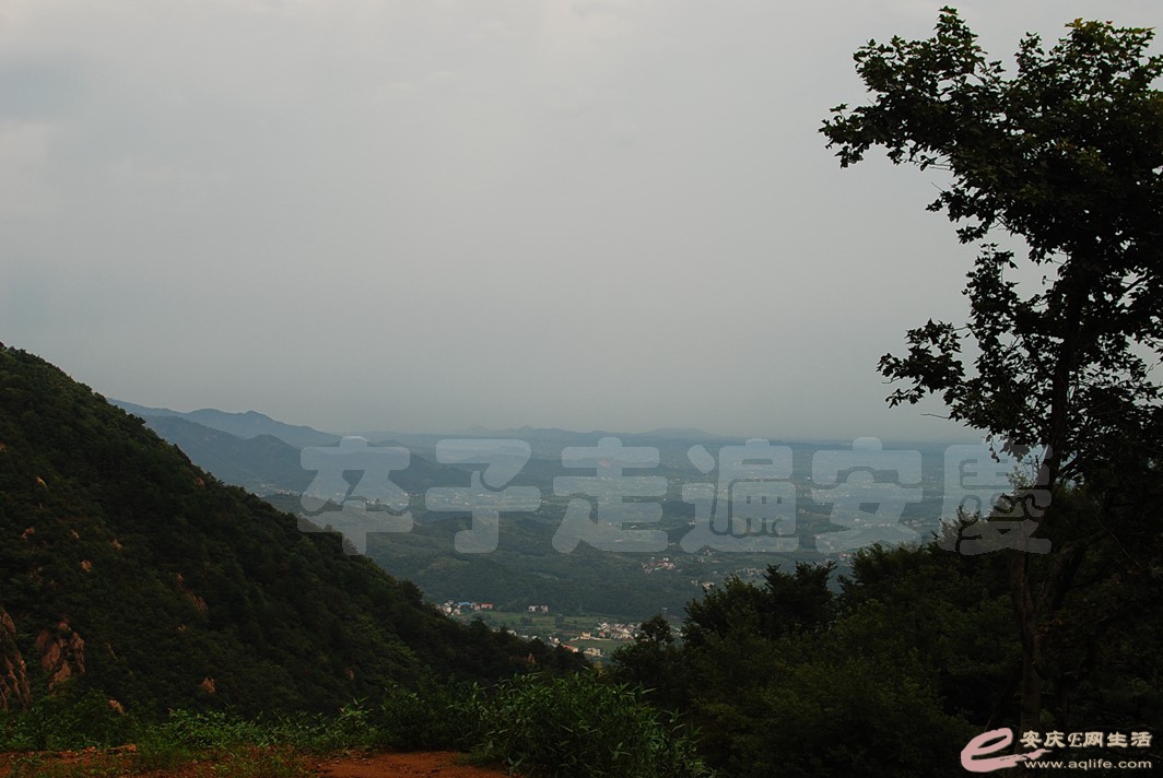 DSC_7376.jpg