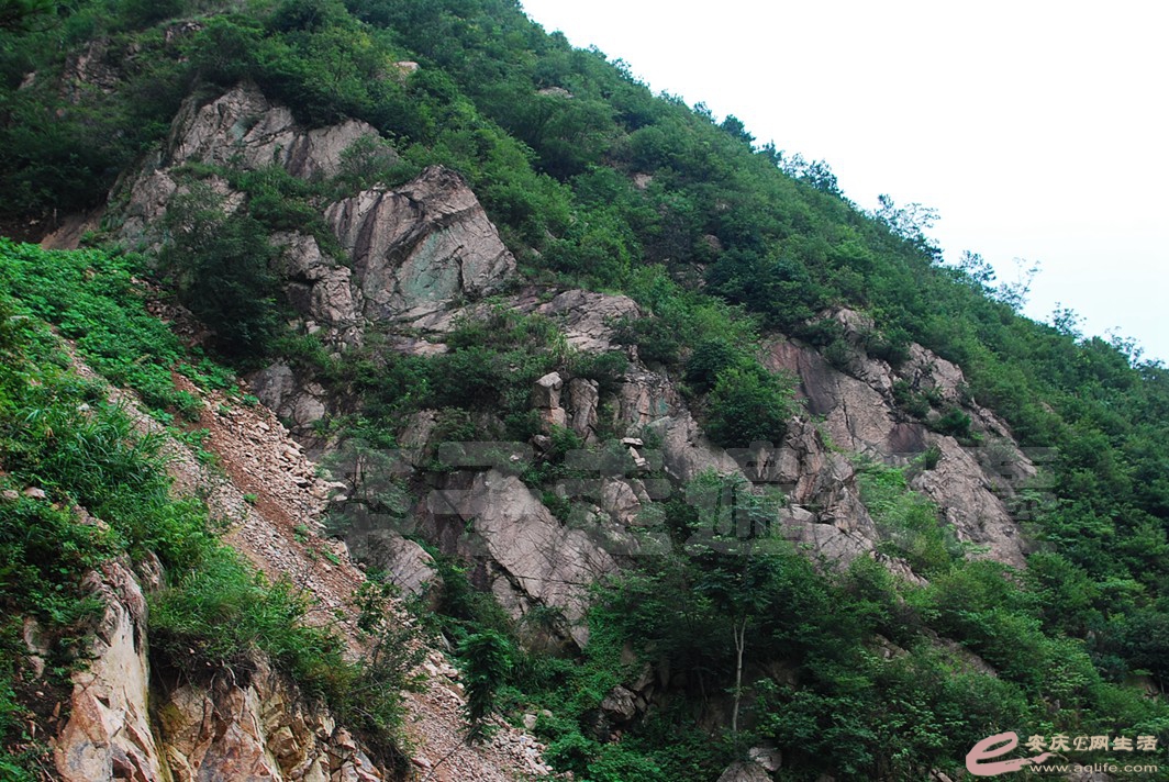 DSC_7397.jpg