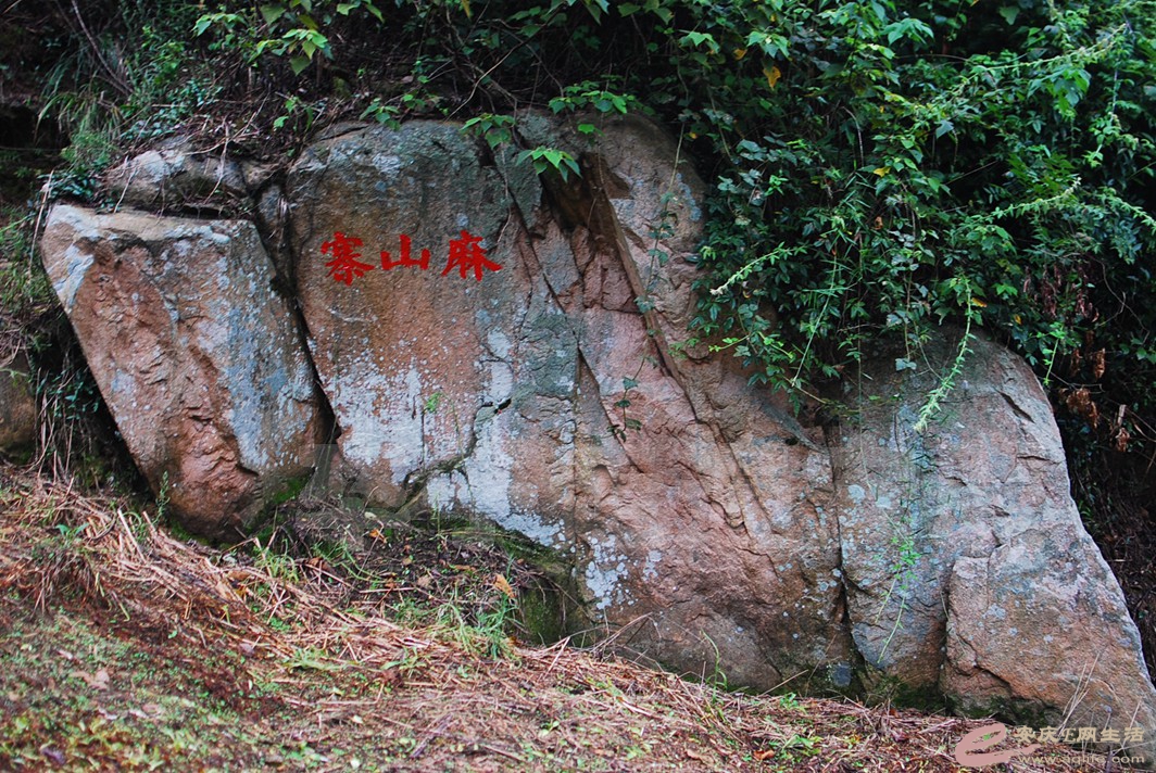 DSC_7474.jpg