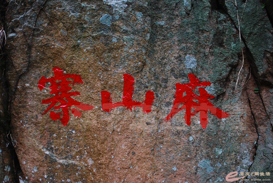 DSC_7477.jpg