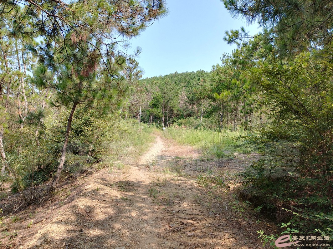 IMG_20230817_100259.jpg